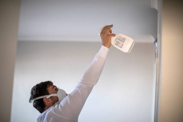 Best Mold Testing  in Jackson, WY