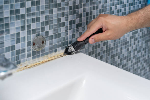 Best Mold Damage Repair  in Jackson, WY